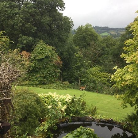 Llangathen Dwynant - A Room With A View מראה חיצוני תמונה