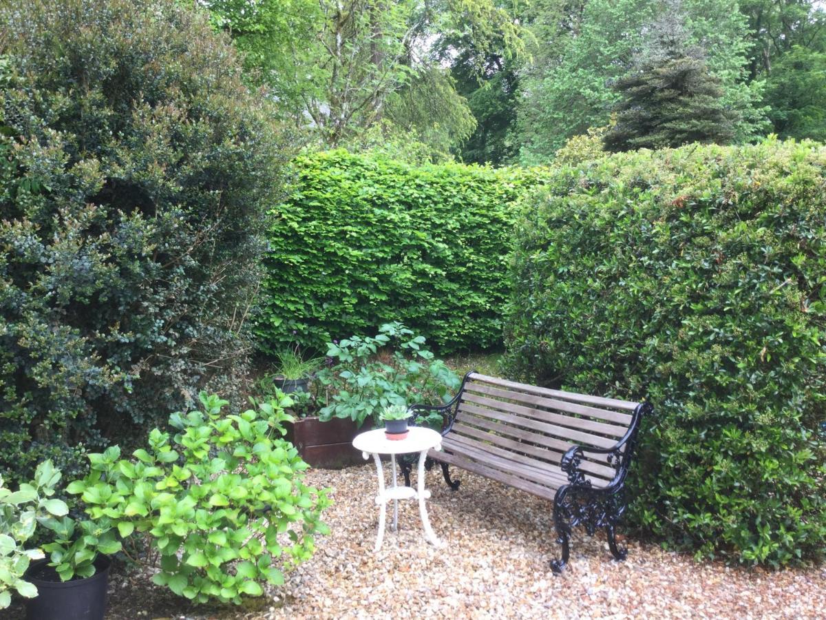 Llangathen Dwynant - A Room With A View מראה חיצוני תמונה